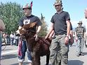 Adunata Alpini BAssano 2008 MK-339